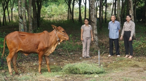 Bài 1: Nỗ lực giảm nghèo từ nông thôn đến thành thị