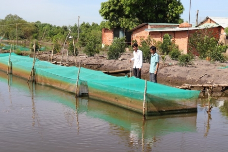 Nâng cao chất lượng, hiệu quả hoạt động kinh tế tập thể