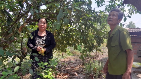 Bà Liên “rau móp” và ông Sơn thương binh