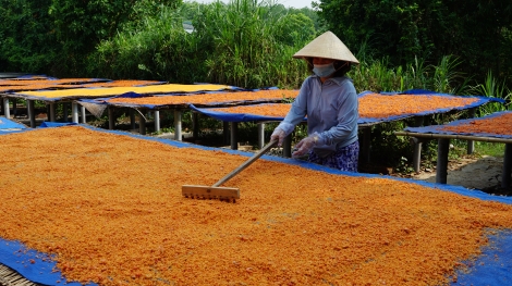 Bài 1: Chương trình OCOP: Động lực phát triển thương hiệu