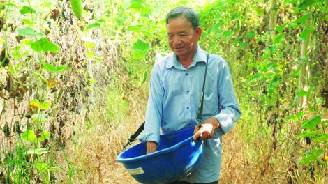 Quanh đồng một ngày nắng