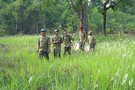 Nỗ lực, bảo đảm chỉ tiêu trồng rừng