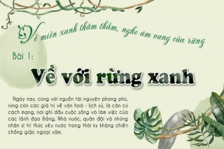 Bài 1: Về với rừng xanh