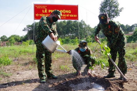 Bài cuối: Trồng rừng và giữ rừng phải dựa vào dân