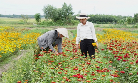 ​Điểm tin địa phương