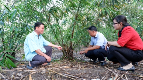 Hội Nông dân huyện Dương Minh Châu:

Học theo Bác phải từ những việc cụ thể