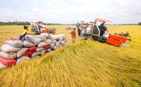 Bộ trưởng Lê Minh Hoan: An ninh lương thực trong nước vẫn được đảm bảo