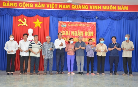 Tân Châu: Hội Nông dân tỉnh giải ngân dự án “Chăm sóc cây cao su”