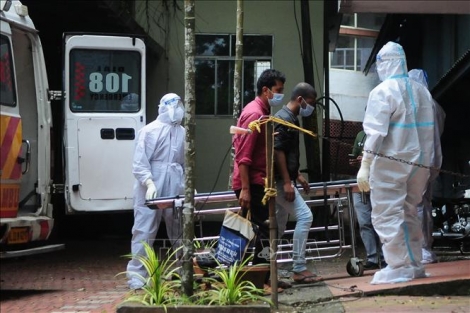 Ấn Độ tăng cường ngăn chặn virus Nipah lây lan