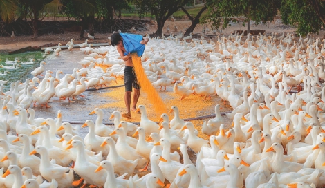 Cần gỡ khó, đẩy nhanh tiến độ thực hiện các chương trình mục tiêu quốc gia