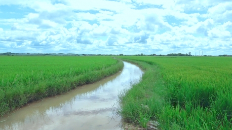 Xã Hưng Thuận, thị xã Trảng Bàng: Người dân tiếp tục kiến nghị nạo vét kênh tiêu N23-2-2T