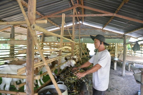 “Quỹ hỗ trợ nông dân”- điểm tựa giúp hội viên phát triển kinh tế