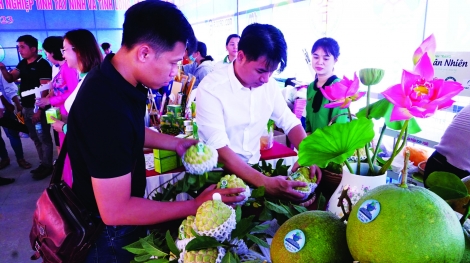 Tây Ninh - Long An: Liên kết, hợp tác cùng phát triển trên lĩnh vực công thương