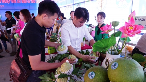 Chương trình kết nối giao thương: Nhiều cơ hội cho doanh nghiệp