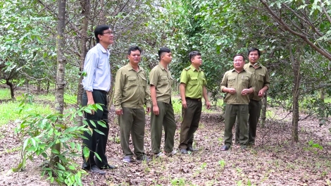 Ngành Nông nghiệp: Làm tốt công tác quản lý, bảo vệ và phát triển rừng