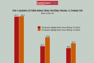 Các ngành nào có triển vọng tăng trưởng trong năm tới?