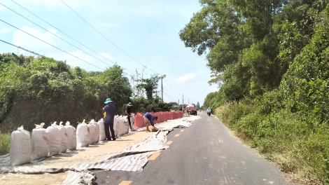 Phơi lúa gây cản trở giao thông