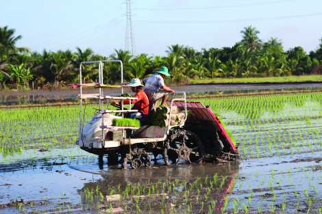 Những mô hình hay, cách làm sáng tạo trong xây dựng nông thôn mới