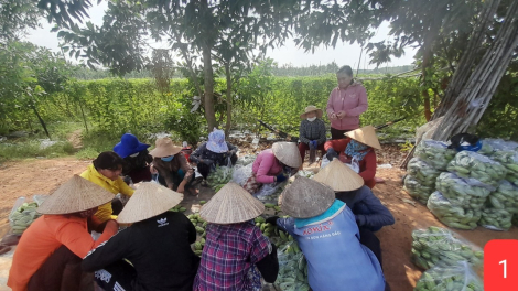 Hiệu quả mô hình “Tổ phụ nữ vần đổi công Việt Nam - Campuchia”