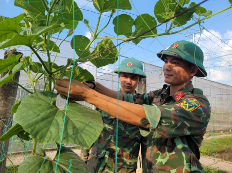 Phát huy tính gương mẫu trong quản lý chỉ huy đơn vị