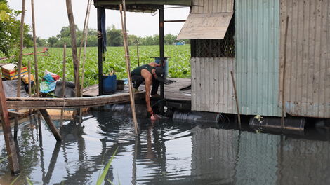 Nước thải sinh hoạt- nguyên nhân gây ô nhiễm sông Vàm Cỏ Đông