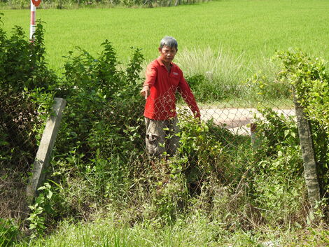 Cánh đồng bàu Thâm Vô đã hồi sinh