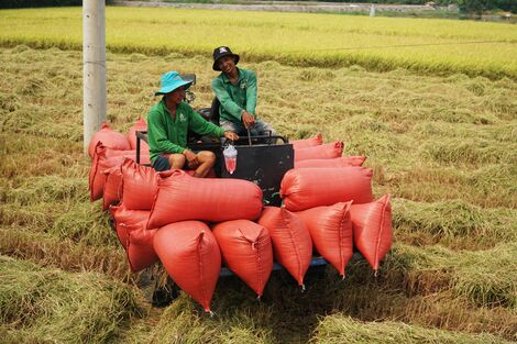 Kỳ VI: Những cánh đồng màu mỡ ven sông