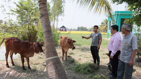 Tín dụng chính sách xã hội: Thúc đẩy phục hồi và phát triển kinh tế, xã hội