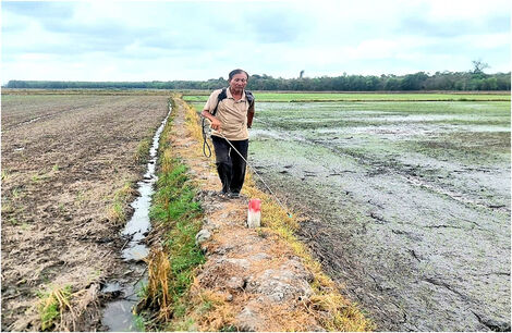 Một nông dân Tây Ninh được vinh danh Nông dân Việt Nam xuất sắc năm 2024